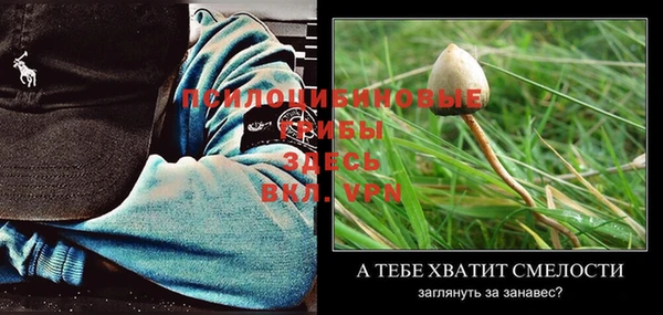 2c-b Нефтегорск