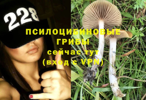 бутират Нефтекумск