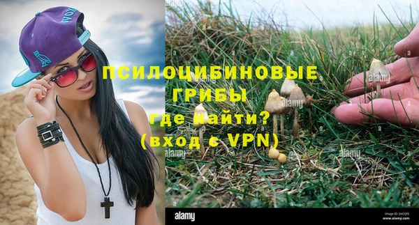 меф Новодвинск