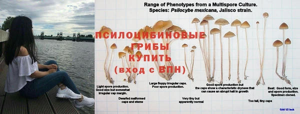 скорость Наволоки