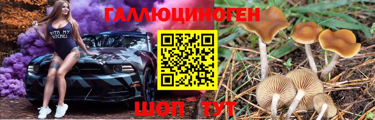 Псилоцибиновые грибы Cubensis Челябинск