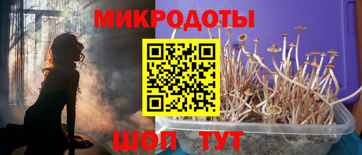 Псилоцибиновые грибы мухоморы  Вход с VPN  Челябинск 